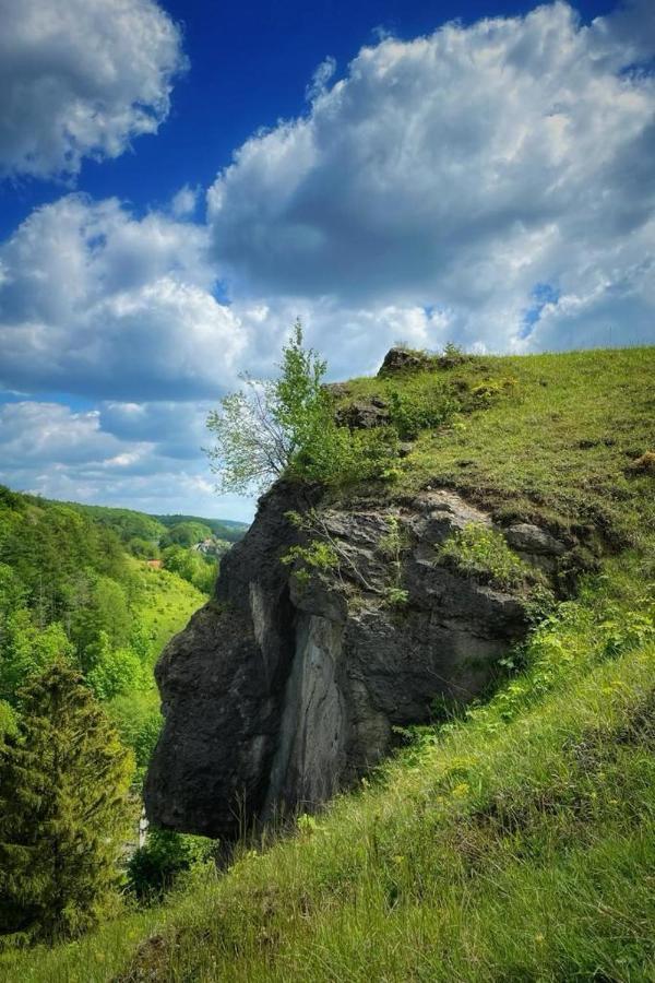 Ferienwohnung Steinberg-Blick Herzberg am Harz Exterior foto